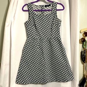 The Limited PolkaDot Dress Size 6